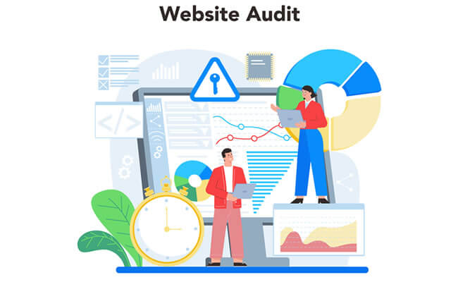 Audit Website
