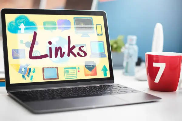 Ashburn Expert SEO explains Links Ashburn Expert SEO explains Links